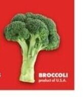 No Frills BROCCOLI offer