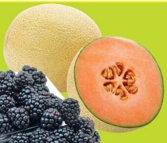 FreshCo Cantaloupe offer