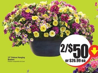 FreshCo 13" Deluxe Hanging Baskets offer