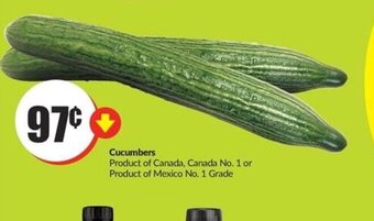 FreshCo Cucumbers offer
