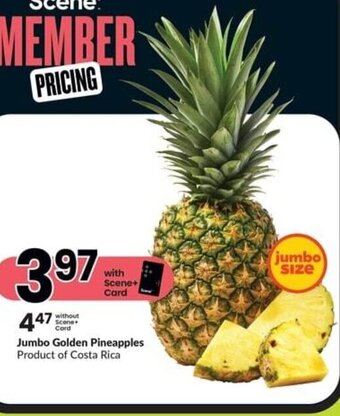 FreshCo Jumbo Golden Pineapples offer