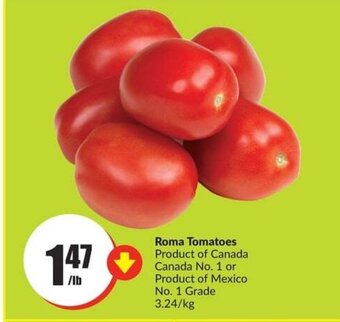 FreshCo Roma Tomatoes offer