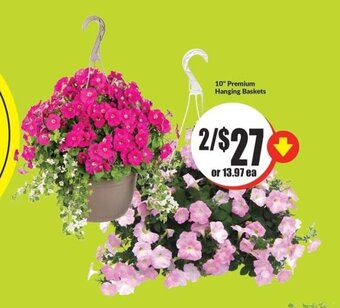 FreshCo 10" Premium Hanging Baskets offer