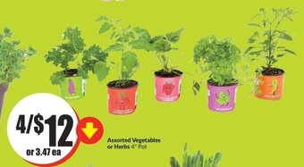 FreshCo Assorted Vegetables or Herbs 4" Pot offer