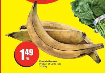 FreshCo Plantain Bananas offer