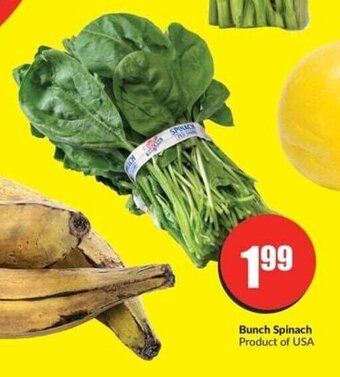 FreshCo Bunch Spinach offer