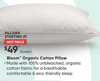 Sleep Country Bloom organic cotton pillow offer