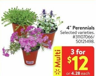 Walmart 4" Perennials offer