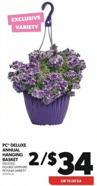 Real Canadian Superstore PCⓇ DELUXE ANNUAL HANGING BASKET offer