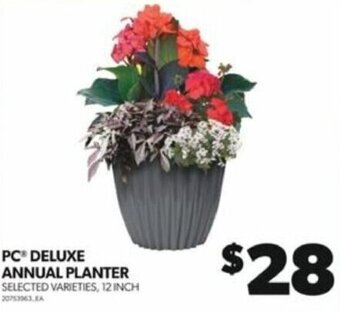 Real Canadian Superstore PC DELUXE ANNUAL PLANTER offer