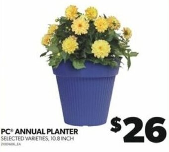Real Canadian Superstore PC ANNUAL PLANTER offer