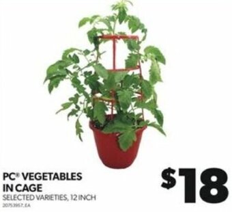Real Canadian Superstore PC VEGETABLES IN CAGE offer