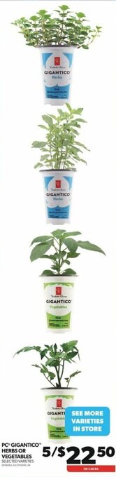 Real Canadian Superstore PC GIGANTICO™ HERBS OR VEGETABLES offer