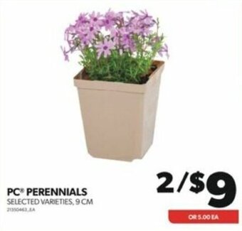 Real Canadian Superstore PC PERENNIALS offer