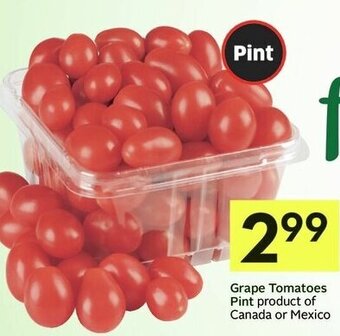 IGA Grape Tomatoes offer
