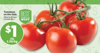 Calgary Co-op Tomatoes on the Vine offer