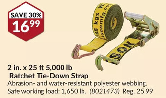Princess Auto Erickson 2 in. x 25 ft 5,000 lb ratchet tie-down strap offer