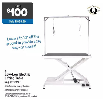 Ren’s Pets Depot Q low-low electric lifting table offer