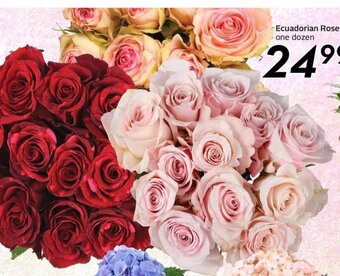 Sobeys Ecuadorian Roses ›one dozen offer
