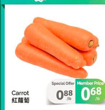 T&T Supermarket Carrot offer