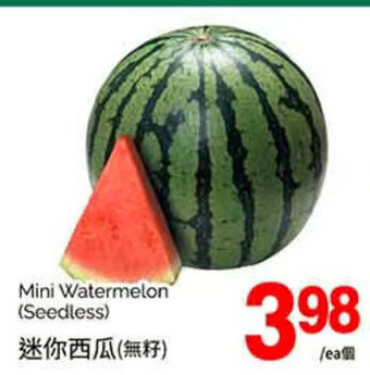 T&T Supermarket Mini Watermelon (Seedless) offer