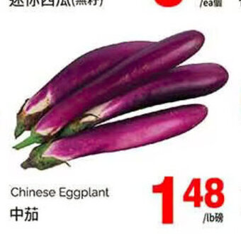 T&T Supermarket Chinese Eggplant offer