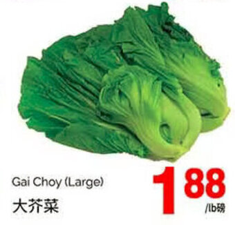 T&T Supermarket Gai Choy (Large) offer