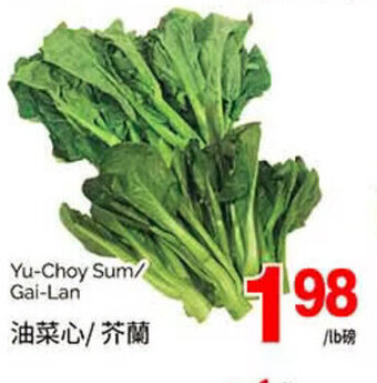 T&T Supermarket Yu-Choy Sum offer