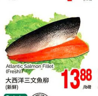 T&T Supermarket Atlantic Salmon Fillet offer