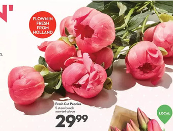 Longo's Fresh cut peonies offer