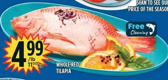 Marché Adonis Whole red tilapia offer
