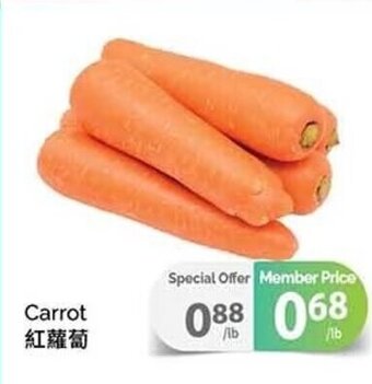 T&T Supermarket Carrot offer