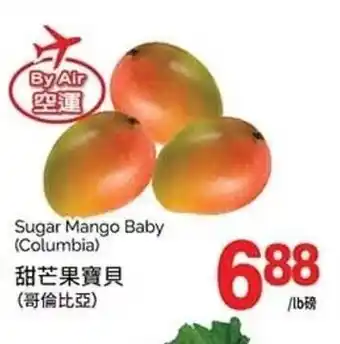 T&T Supermarket Sugar Mango Baby offer