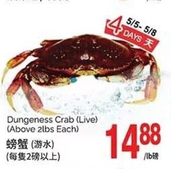 T&T Supermarket Dungeness Crab (Live) offer