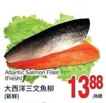 T&T Supermarket Atlantic Salmon Fillet (Fresh) offer