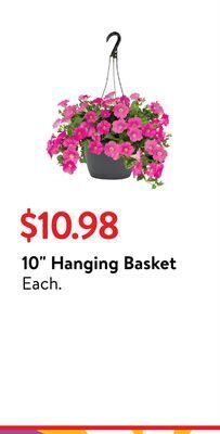 Walmart 10 hanging basket offer