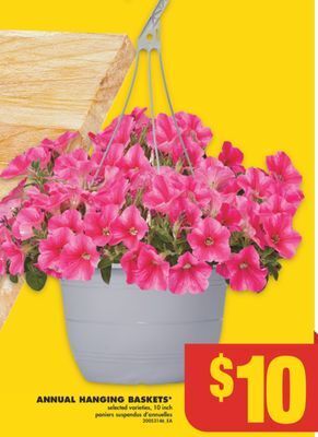 No Frills Annual hanging baskets*, 10 inch offer