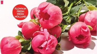 Longo's Fresh cut peonies offer