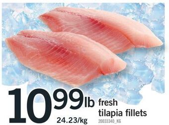 Fortinos Fresh tilapia fillets offer