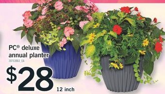 Fortinos Pc® deluxe annual planter offer