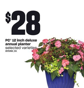 Loblaws Pc® 12 inch deluxe annual planter offer