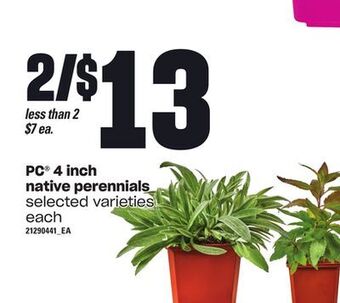 Loblaws Pc® 4 inch native perennials offer