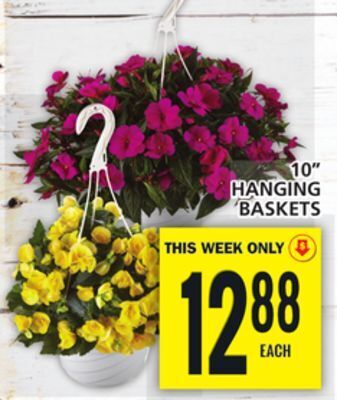 Food Basics 10 hanging baskets offer