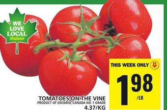 Food Basics Tomatoes on the vine offer