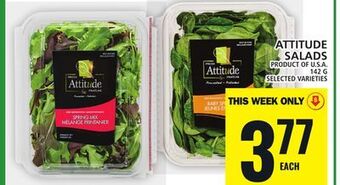 Food Basics Attitude salads offer