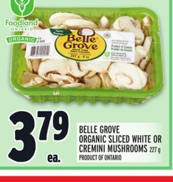 Metro Belle grove organic sliced white or cremini mushrooms offer
