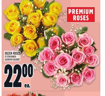 Metro Dozen roses offer