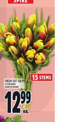 Metro Fresh cut tulips offer