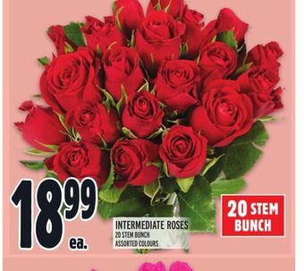 Metro Intermediate roses offer