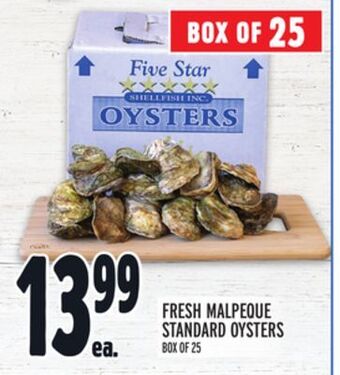 Metro Fresh malpeque standard oysters offer